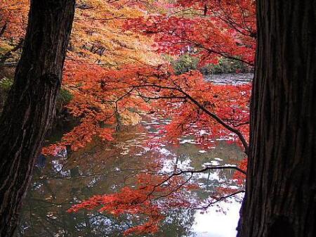 24.11.9-.3.jpg 24.11.9-.3.jpg