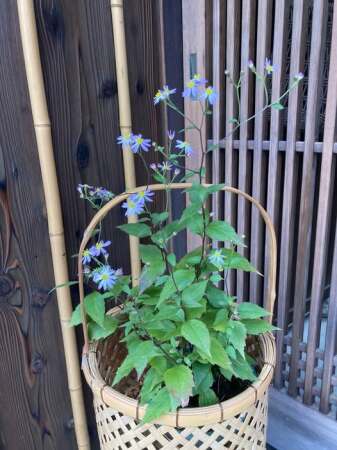 25.11.29-1.jpg 25.11.29-1.jpg