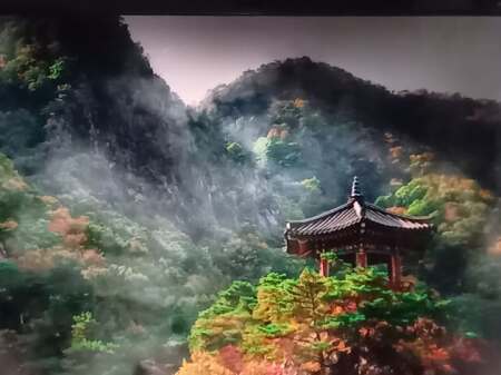 25.12.6-1.jpg 25.12.6-1.jpg