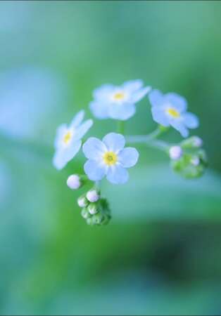 25.9.5-1.jpg 25.9.5-1.jpg